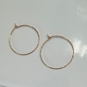Mid Size Gold Hoop Earrings